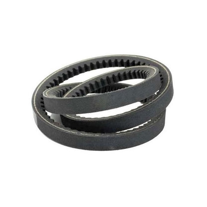 1223548 | BV10-03175-3VX1250 --- Belts - 3175 mm - -