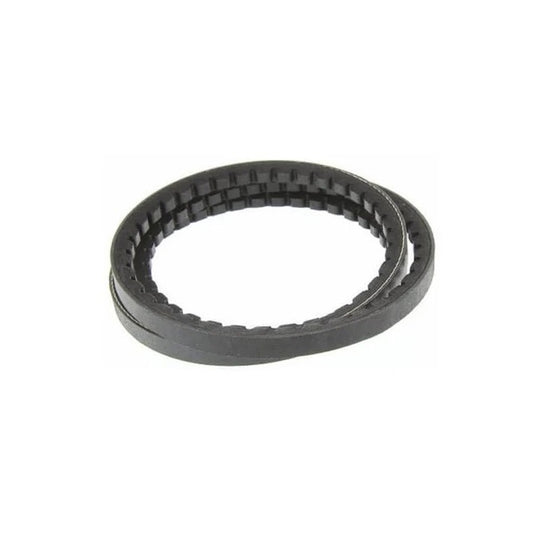 1221284 | BV12-00787-AX31 --- Belts - 787.4 (31.0 in.) - -