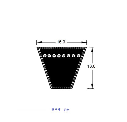 1224019 | BV16-06304-5V2500 --- Belts - 6304 mm -