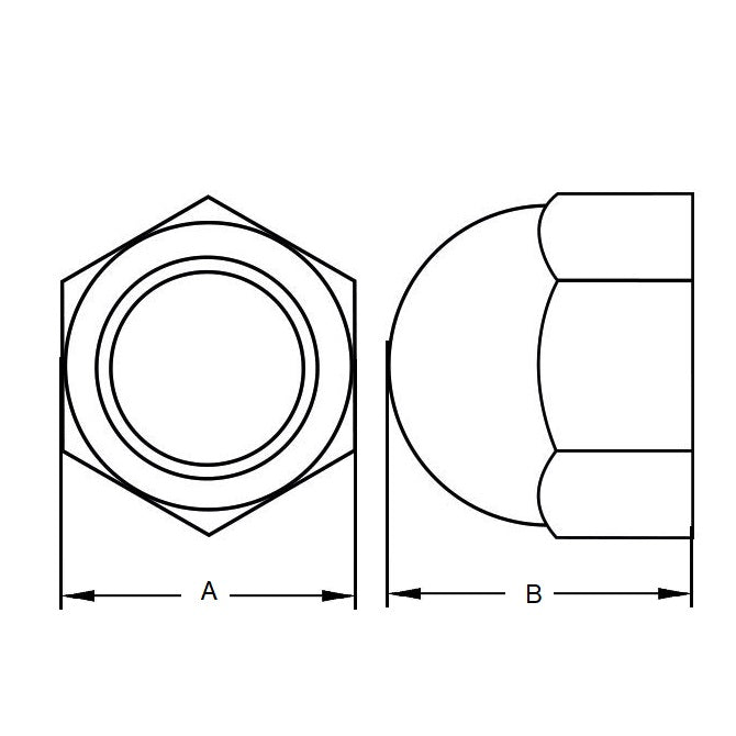 1116379 | NT160M-DM-S6 (50 Pcs) --- Dome Nuts - M16 (16x2mm) x  316 Stainless x 28 mm