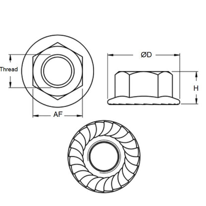 1094958 | NT100M-FS-S4 (5 Pcs) --- Nuts - M10x1.5 304 Stainless