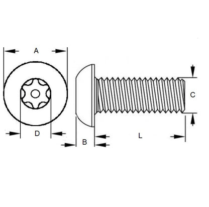 1082525 | SCS0800-016-B-SK-S4 (2 Pcs) --- Security Screws - M8 (8x1.25mm) x 16 mm