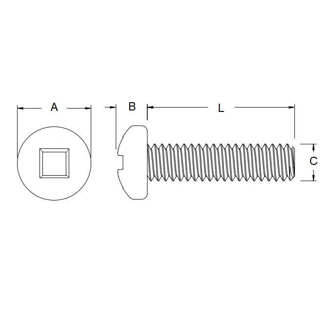 1069442 | SCS0600-025-P-PCS-CZ (100 Pcs) --- Security Screws - M6 (6x1mm) x 25 mm