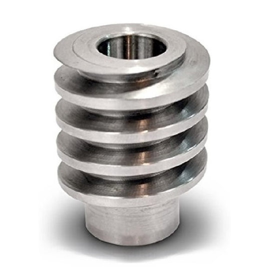 Worm Gears - Pitch Module 1.0 Worm - 2 Start - 7 Deg 11 Min - 303 Stainless