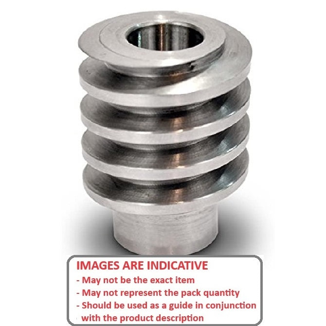 1036499 | WM2R-100-060-150-S4 (Each) --- Worm Gears - Pitch Module 1.0 - Worm - 2 Start tooth - 7 Deg 11 Min Module 1.0 - 304 Stainless
