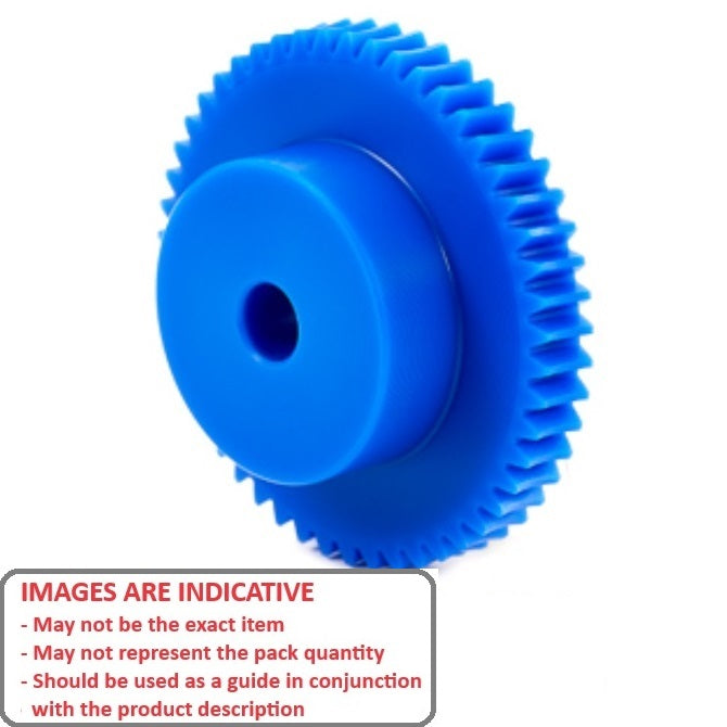 1036178 | WG1R-100-060-100-ACE (Each) --- Worm Gears - Pitch Module 1.0 - 60 tooth - 3 Deg 35 Min Module 1.0 - Polyacetal White Gear
