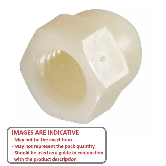 1064890 | NT060M-DM-NY (PK-40) --- Dome Nuts - M6 - 6x1mm - Nylon - Zytel 101 - - - Nut