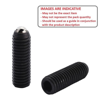 1228213 | PLBT-160M-250-CS-110 (10 Pcs) --- Ball Threaded Plungers - M16 (16x2mm) x 25 mm x 30 N