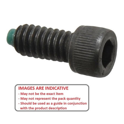 1071874 | SC064C-013-C-SK-C-NT (Each) --- Cap Tipped Screws - 1/4-20 UNC - 6.35mm - 12.7x3.2 mm Socket - Steel Alloy Screw