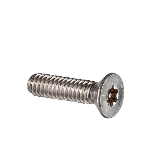Security Screws - M6 - 6x1mm - 20 mm - 304 Stainless Socket
