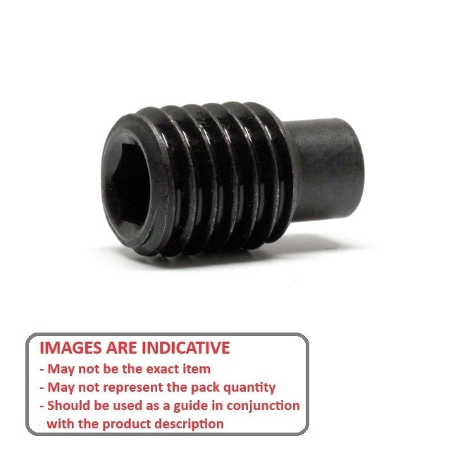 1082030 | SS080M-0350-AS-DP (PK-50) --- Dog Point Carbon Steel Socket Set Screws - M8 - 8x1.25mm - 30.7 mm  - Carbon Steel Screw