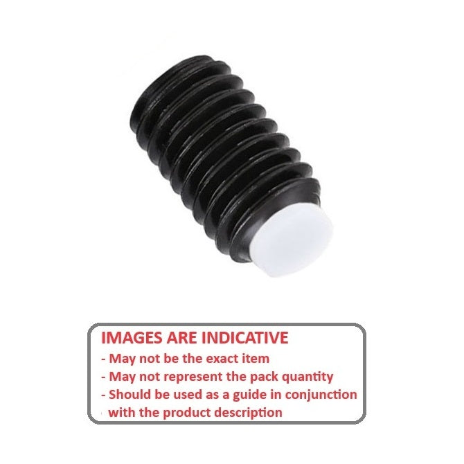 1094497 | SS100M-0600-AS-AT --- Screw - M10x1.5 (10mm Standard) x 60 mm Acetal Tipped