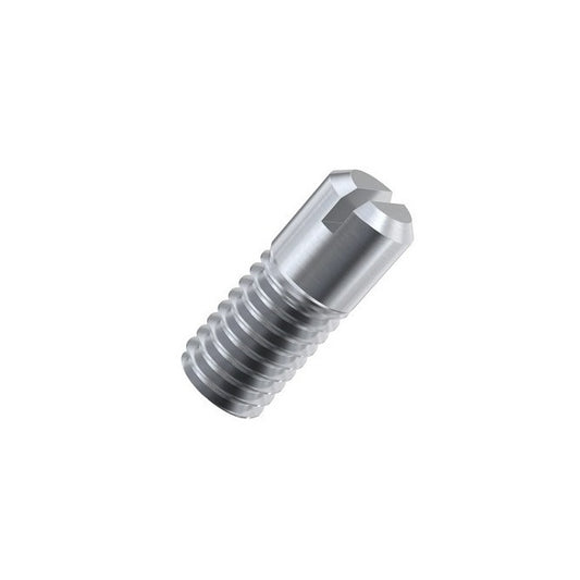 1092971 | SS100M-0200-ASP --- Partial Thread Slotted Set Screws - M10 (10x1.5mm) x 20 mm Partial Thread