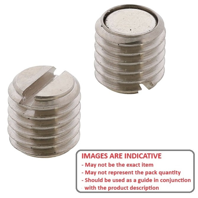 1065847 | SS060M-0080-C-MAG-SL (Each) --- Magnetic End Socket Set Screws - M6 - 6x1mm - 8 mm - Magnetic Tipped - Carbon Steel Screw