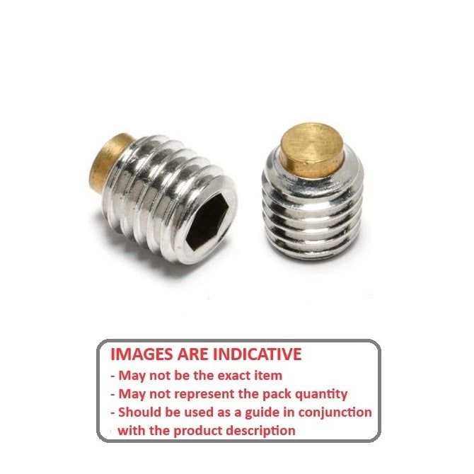 1080488 | SS080M-0120-S3-BT (Each) --- Brass Tipped Socket Set Screws - M8 - 8x1.25mm - 12 mm  - Stainless Steel 18-8 Similar to A2, 303, 304 Screw