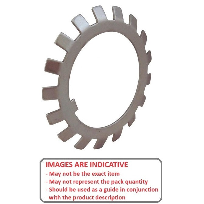 1187672 | WLB095-133-18-ST (Each) --- Lock Washers - 95x133 mm - 19 Nr. Tabbed - Carbon Spring Steel Washer